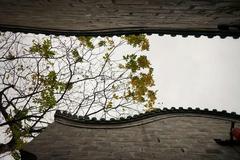 少不入蜀老不出川，遇城，遇自己——成都