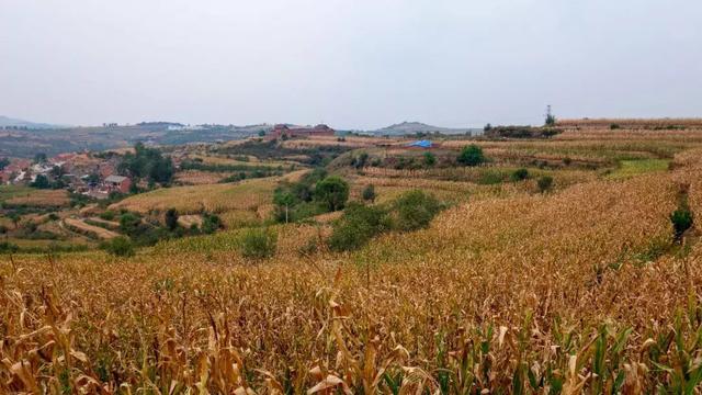 把酒话桑麻，一人意趣多