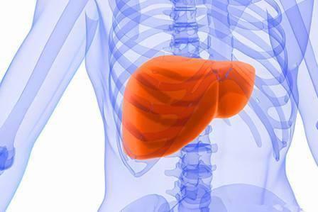 看脂肪肝，到底该去哪个科？今天终于知道答案了！