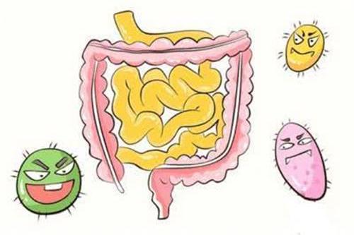 通过日常饮食，能补充益生菌吗？听听专家的解释