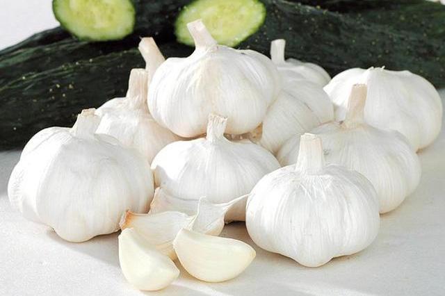 大蒜是个宝！但生吃好还是熟吃好？今天终于知道答案了