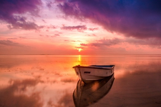 喜神找上门，年底有好事的生肖