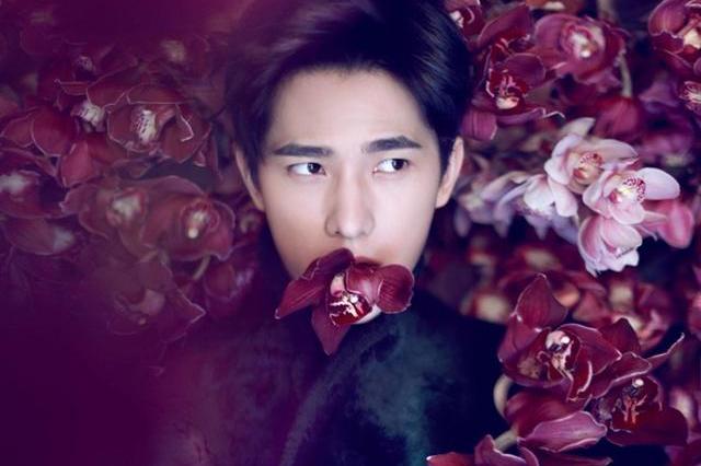 2020年：八方来喜，四方来财的生肖