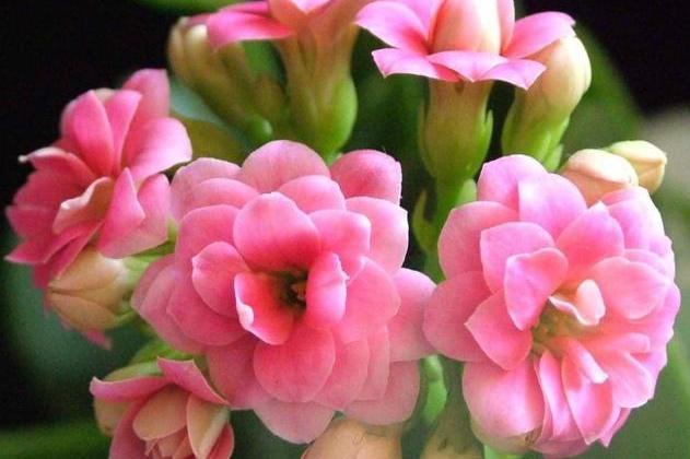 死心眼，分手后还恋恋不忘