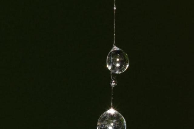 情劫之后，余生幸福无忧的生肖