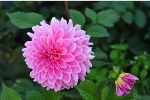 12月有财神爷眷顾，存款倍增，这些星座能进入富人榜