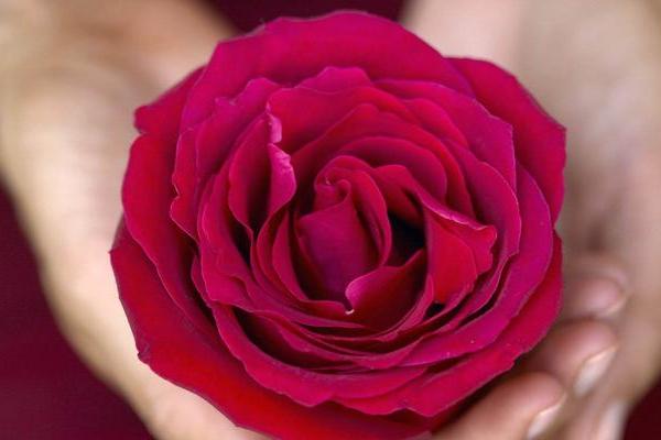 生日是这一天，后半生健康运势欠佳