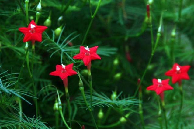 从出生日看你的一生整体运势