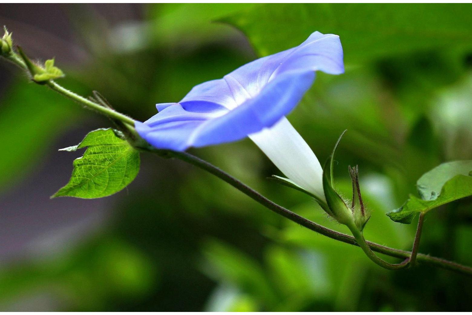 身体好，好运一路跟着跑，这生肖福禄绵长