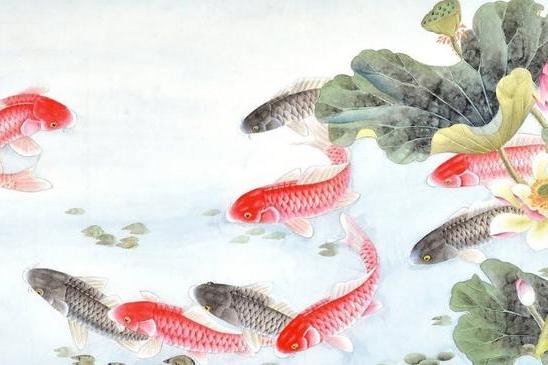 好运上门，这属相快来接喜