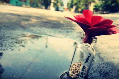 这是发财前兆，此生肖日后必大富