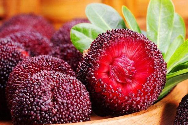 烦恼跑，福运好，身体棒的属相