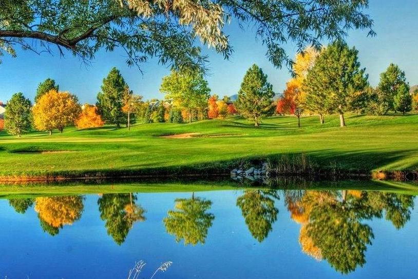 喜气汇聚，财运跟着跑的属相