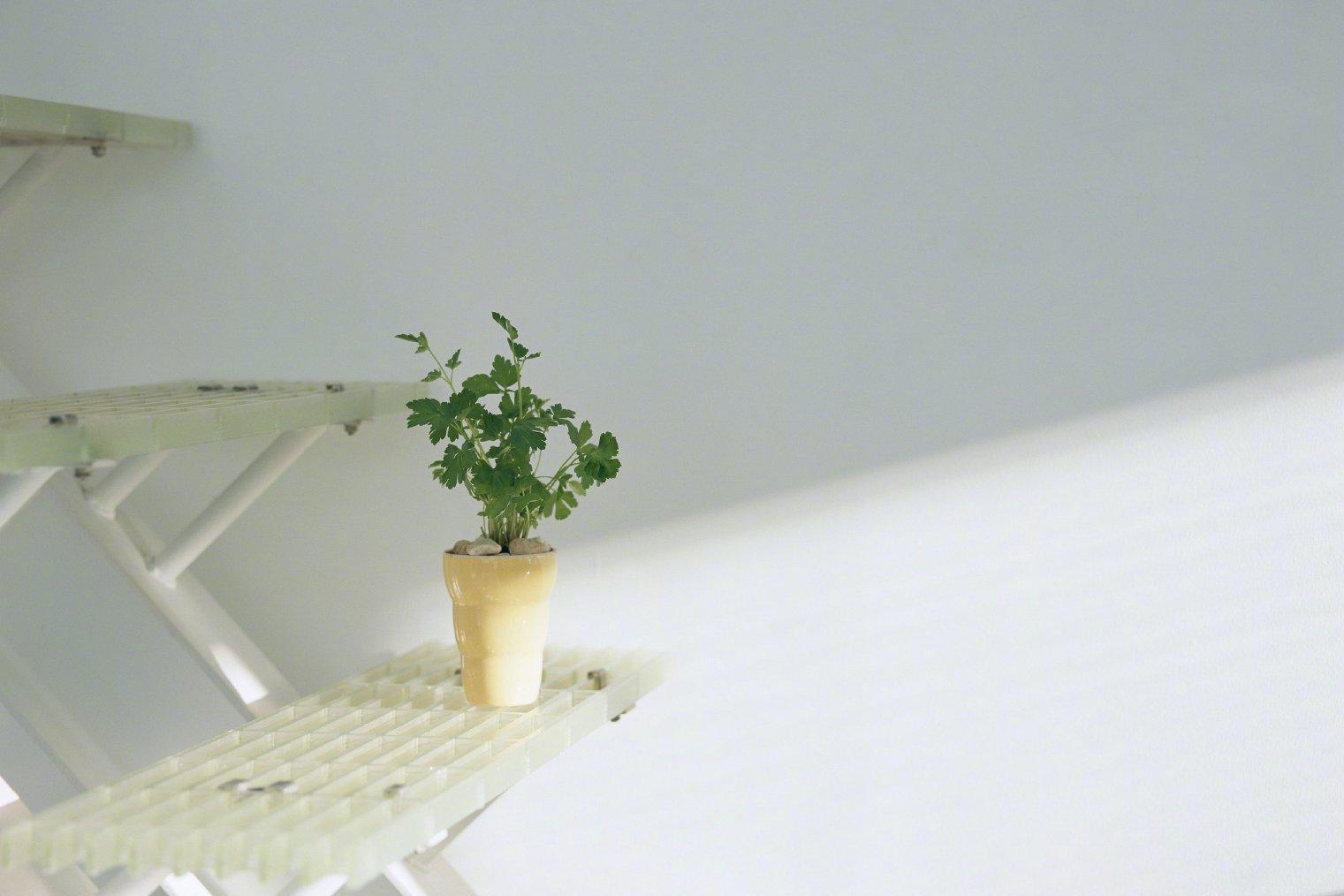 如何选择自己的真爱？答案在这里