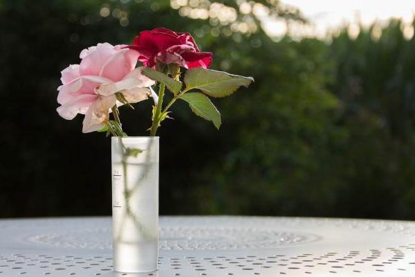 爱情回归，能相濡以沫的生肖