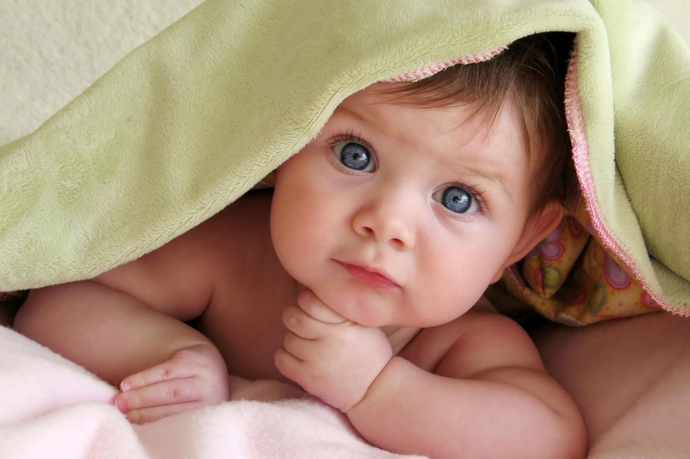 年底喜事临门，庚子年喜得&ldquo;鼠宝宝&rdquo;的生肖