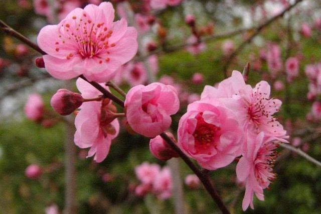 中秋节后月老相助，这些星座桃花运大包大揽