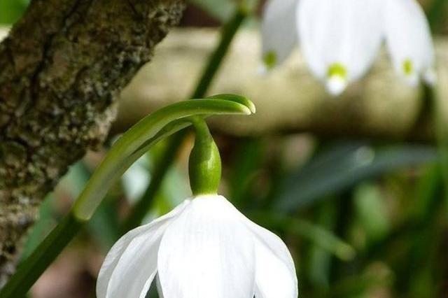 这30年福禧相随，生活多姿多彩的生肖