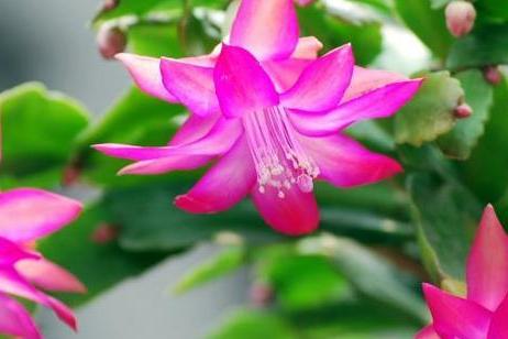 妥妥的财神转世，与这星座在一起准发财