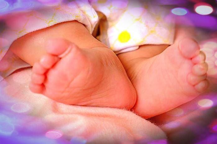 好运来敲门，今明年怀孕喜得“鼠宝宝”的属相