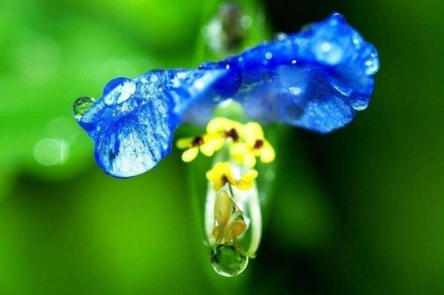 阳历9月财神一路相随，这些星座财运红火