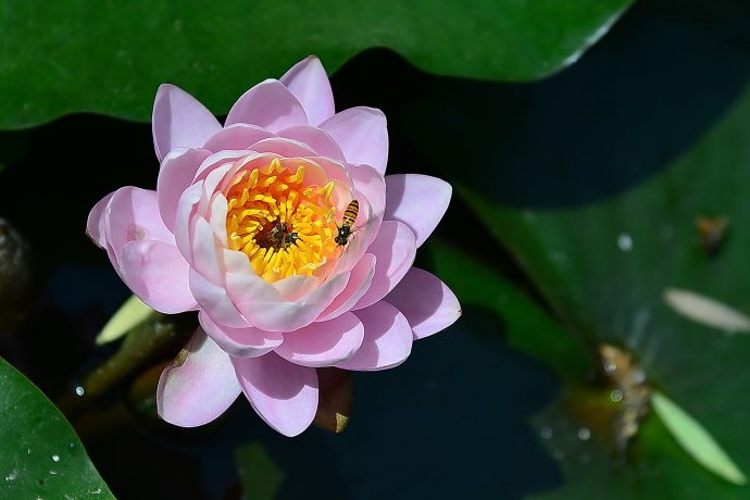 这样的情感，有好头无好尾，二婚几率大