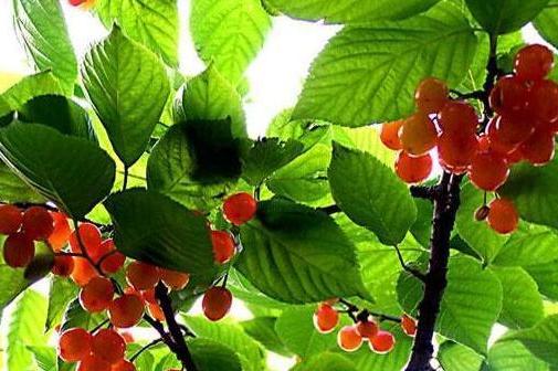 金秋8月，这些星座运势最好最强