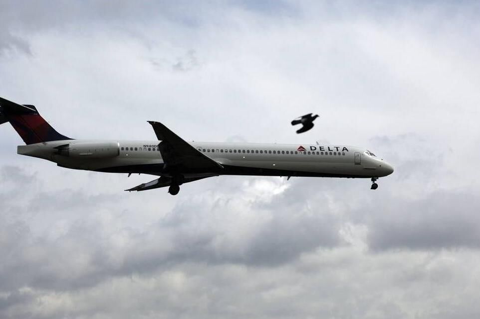 一架飞机进入华盛顿禁区，警报声立马响起，白宫第一时间实施封锁