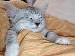 高质量睡眠有多难？