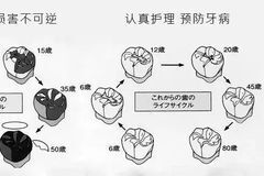 17.9/10支！这个神奇的小东西，家家都应该有！