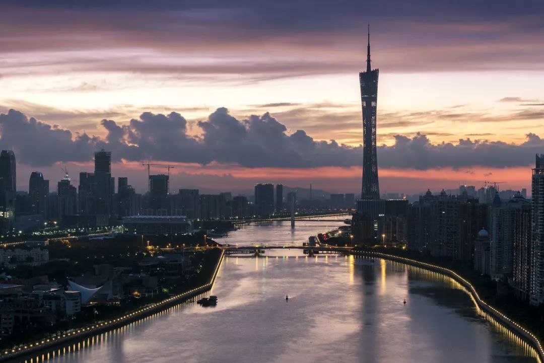 北方大雪纷飞，广东却依然一副树木常青、繁花似锦的模样....