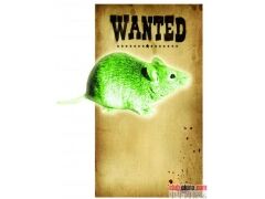 切尔诺贝利巨鼠之谜:核辐射后成为巨大食人鼠