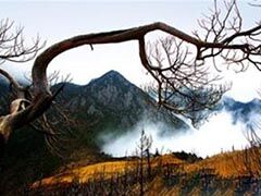 中国百慕大&ldquo;黑竹沟&rdquo;：人入之必死 动物则生