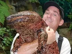 地球上最大的&ldquo;怪物&rdquo;，竟然如此之大！