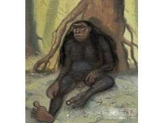 印尼神秘&ldquo;小脚怪&rdquo;之谜