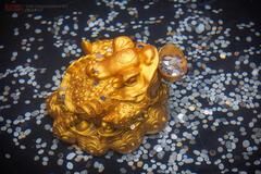 中国人为何一到许愿池就大把往里扔钱？