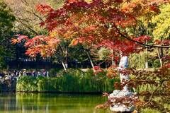 我国不该被忽视的山，曾有五王十四帝登临，中国四大赏枫胜地之一