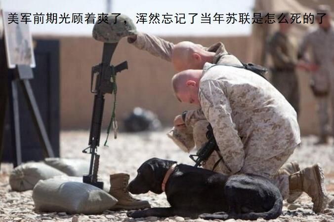 世界霸主终于低头！美国选择忍气吞声 塔利班即将取得全面胜利