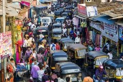 印度这一动物泛滥成灾：不能吃又不能杀，当地人快愁哭了