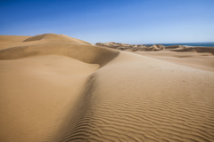 沙漠旅游，看到“玫瑰”赶紧捡走，但为何“西瓜”坚决不能吃？