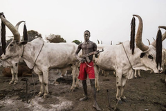 全球最高民族：平均身高一米八，牛是“硬通货”！