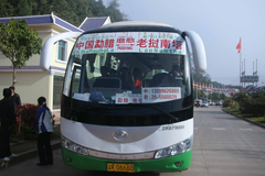 老挝究竟有多原始？看他们菜市场卖什么，中国游客都不敢买！