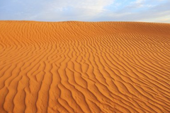 中国斥巨资30年将沙漠变绿洲，却毁于他们手中！治沙人：浪费心血