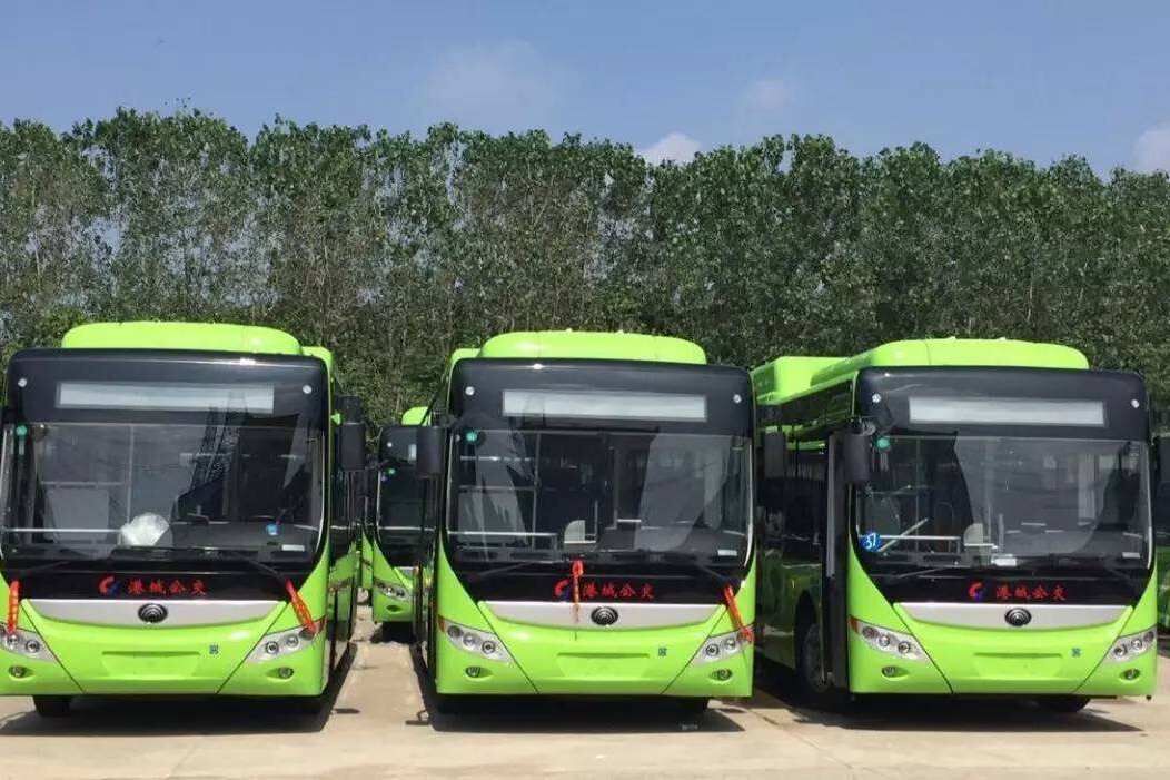 新年福利，山东平邑公交车免费乘坐