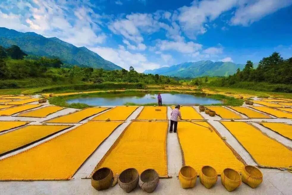 广东乐昌经济为啥那么落后？