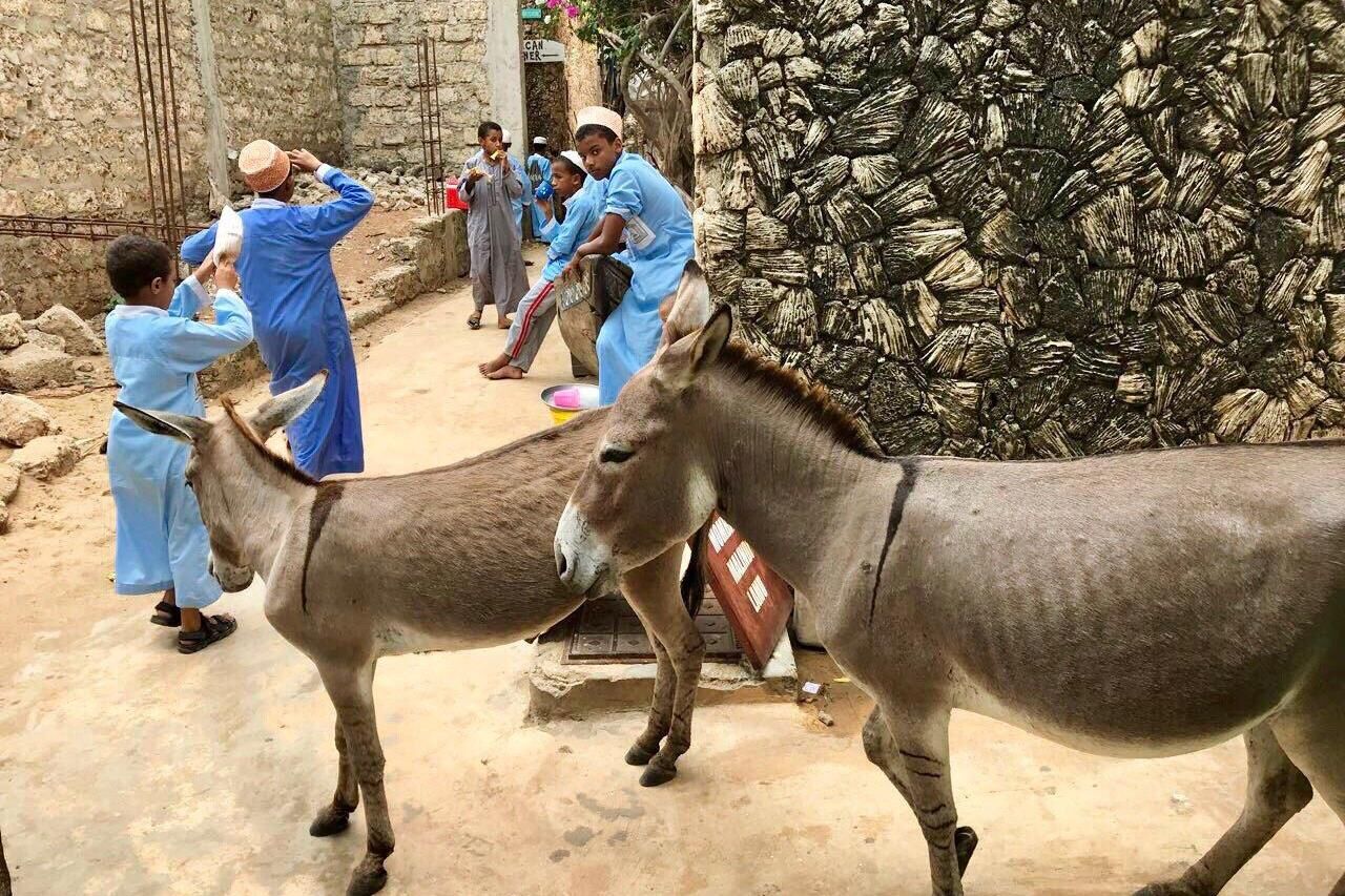在非洲拉穆群岛上，有中国人的后裔，祖先是郑和下西洋的水手