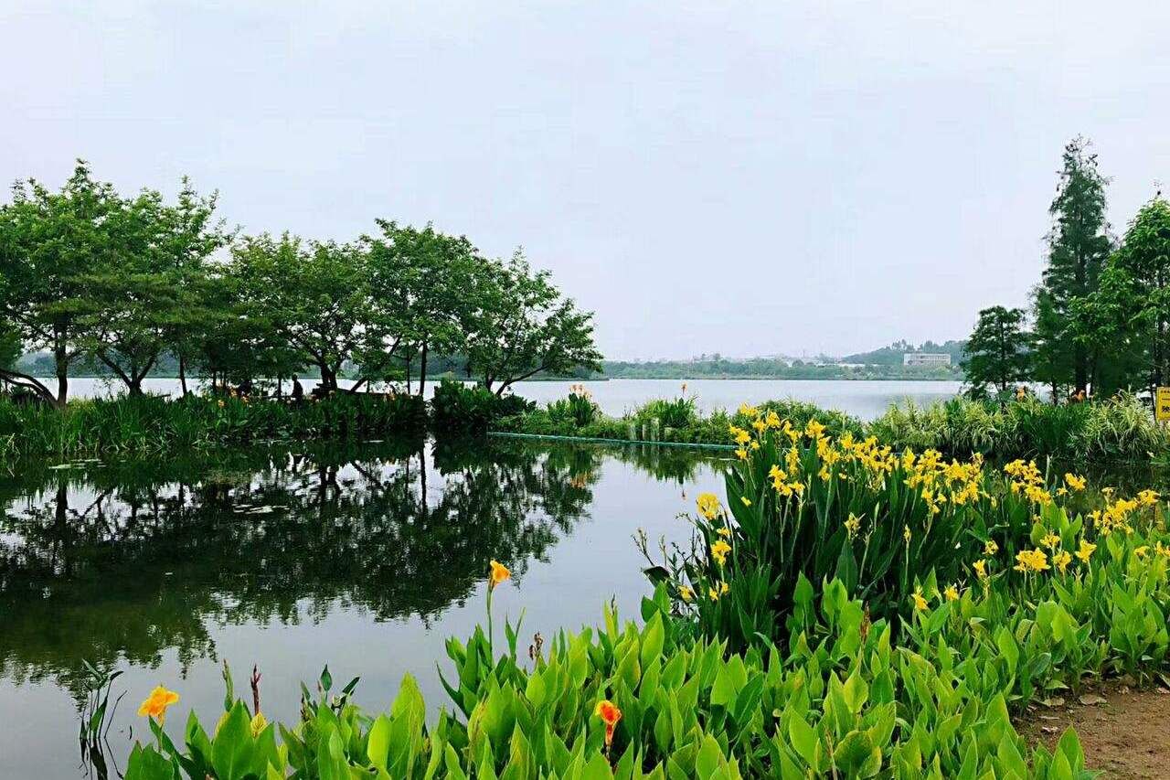 湖南5个最有发展前途的县，你的家乡上榜了吗