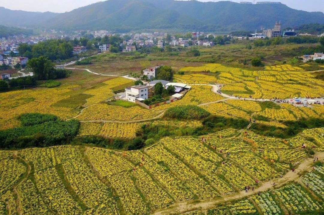 盘点广东14个百万人口大县，最多高达247万