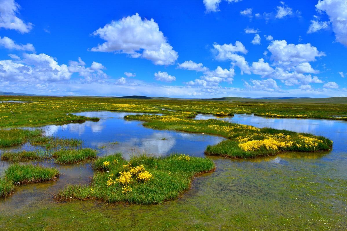 为什么四川只有成都，成为GDP百强城市？