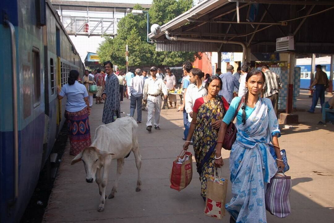 印度火车推出头足按摩，价格便宜，每分钟不到1元钱